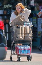 ARIEL WINTER Shopping at Gelson
