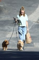 BRITT ROBERTSON Out with Her Dogs in Los Angeles 07/23/2019