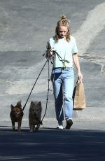 BRITT ROBERTSON Out with Her Dogs in Los Angeles 07/23/2019
