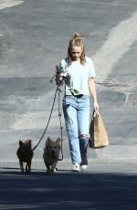 BRITT ROBERTSON Out with Her Dogs in Los Angeles 07/23/2019