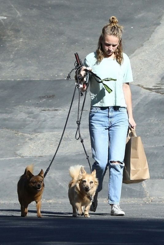 BRITT ROBERTSON Out with Her Dogs in Los Angeles 07/23/2019