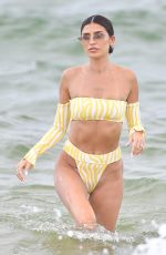 CARA SANTANA and NICOLE WILLIAMS in Bikinis at a Beach in Miami 07/13/2019