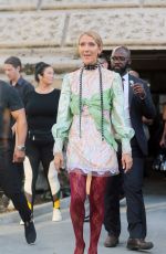 CELINE DION at a Photoshoot on the Streets of Paris 06/30/2019