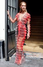 CELINE DION Out and About in Paris 07/01/2019