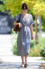 DAKOTA JOHNSON Out and About in Los Angeles 07/14/2019