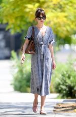 DAKOTA JOHNSON Out and About in Los Angeles 07/14/2019