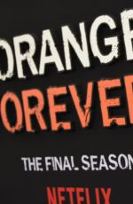 DIANE GUERRERO at Orange is the New Black Final Season Premiere in New York 07/25/2019