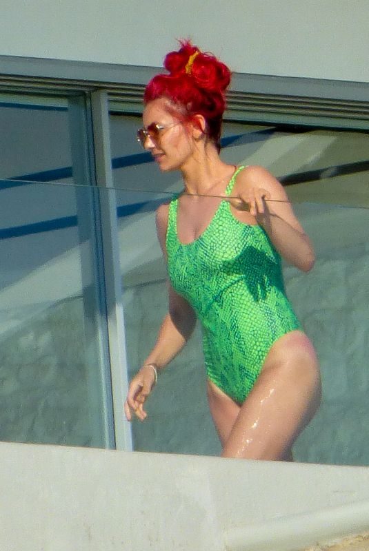 DIANNE BUSWELL in Swimsuit on Vacation in Mykonos 07/24/2019