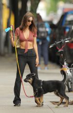 EMILY RATAJKOWSKI and Sebastian Bear-Mcclard Out with Their Dog in New York 07/08/2019