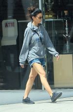 EMMANUELLE CHRIQUI in Denim Shorts Out in Los Angeles 07/04/2019