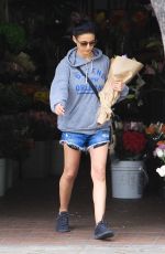 EMMANUELLE CHRIQUI in Denim Shorts Out in Los Angeles 07/04/2019