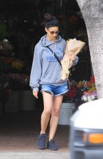 EMMANUELLE CHRIQUI in Denim Shorts Out in Los Angeles 07/04/2019