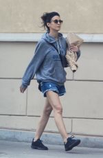 EMMANUELLE CHRIQUI in Denim Shorts Out in Los Angeles 07/04/2019