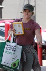 HILARY DUFF Shopping at Trader Joe