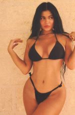 KYLIE JENNER - Amber Asaly 2019 Bikini Photoshoot