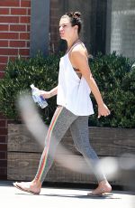LEA MICHELE and Zandy Reich Out for Lunch in Venice Beach 07/20/2019
