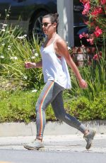 LEA MICHELE Out Hiking in Santa Monica 07/25/2019