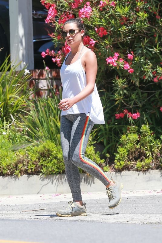 LEA MICHELE Out Hiking in Santa Monica 07/25/2019