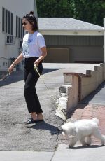 LUCY HALE Out With Her Dog Elvis in Los Angeles 07/19/2019