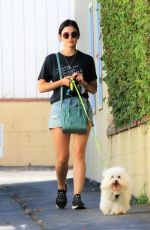 LUCY HALE Out with Her Dog Elvis in Studio City 07/10/2019