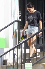 LUCY HALE Out with Her Dog Elvis in Studio City 07/10/2019