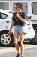 LUCY HALE Out with Her Dog Elvis in Studio City 07/10/2019