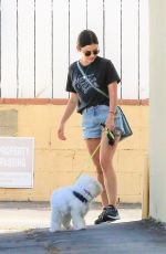 LUCY HALE Out with Her Dog Elvis in Studio City 07/10/2019