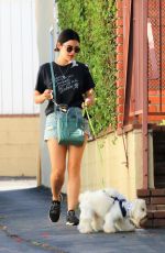 LUCY HALE Out with Her Dog Elvis in Studio City 07/10/2019