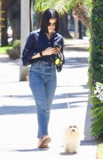 LUCY HALE Out With Her Dog Elvis in Studio City 07/27/2019