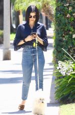 LUCY HALE Out With Her Dog Elvis in Studio City 07/27/2019