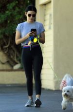 LUCY HALE Out with Her Dog in Studio City 07/28/2019