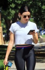 LUCY HALE Out with Her Dog in Studio City 07/28/2019