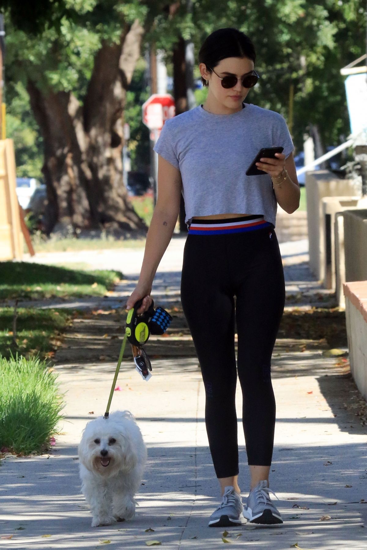 LUCY HALE Out with Her Dog in Studio City 07/28/2019 – HawtCelebs