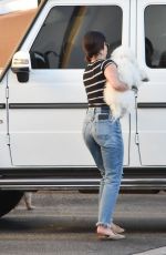 LUCY HALE Picking Up Her Dog Elvis in Los Angeles 07/12/2019