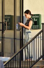 LUCY HALE Picking Up Her Dog Elvis in Los Angeles 07/12/2019