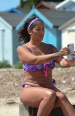 MALIN ANDERSSON in Bikini on the Beach in Essex 06/29/2019