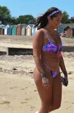 MALIN ANDERSSON in Bikini on the Beach in Essex 06/29/2019