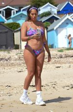 MALIN ANDERSSON in Bikini on the Beach in Essex 06/29/2019