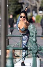 NICOLE SCHERZINGER Doing Yoga Out in Sydney 07/27/2019