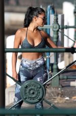 NICOLE SCHERZINGER Doing Yoga Out in Sydney 07/27/2019
