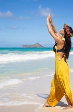 NICOLE SCHERZINGER in Bikini at a Beach in Hawaii - Instagram Pictures 07/01/2019
