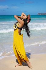 NICOLE SCHERZINGER in Bikini at a Beach in Hawaii - Instagram Pictures 07/01/2019