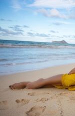 NICOLE SCHERZINGER in Bikini at a Beach in Hawaii - Instagram Pictures 07/01/2019