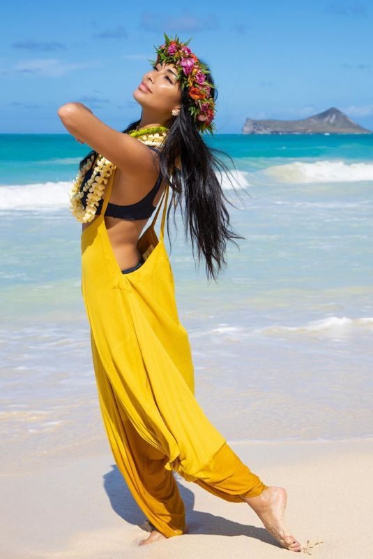 NICOLE SCHERZINGER in Bikini at a Beach in Hawaii – Instagram Pictures 07/01/2019