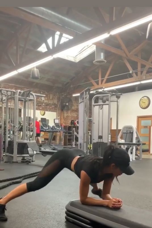 NICOLE SCHERZINGER Workout at a Gym - Instagram Pictures and Video 06/07/2019