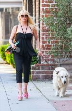 NICOLLETTE SHERIDAN Out with Her Dog in Los Angeles 07/11/2019