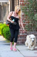 NICOLLETTE SHERIDAN Out with Her Dog in Los Angeles 07/11/2019