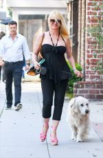 NICOLLETTE SHERIDAN Out with Her Dog in Los Angeles 07/11/2019