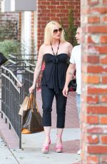 NICOLLETTE SHERIDAN Out with Her Dog in Los Angeles 07/11/2019