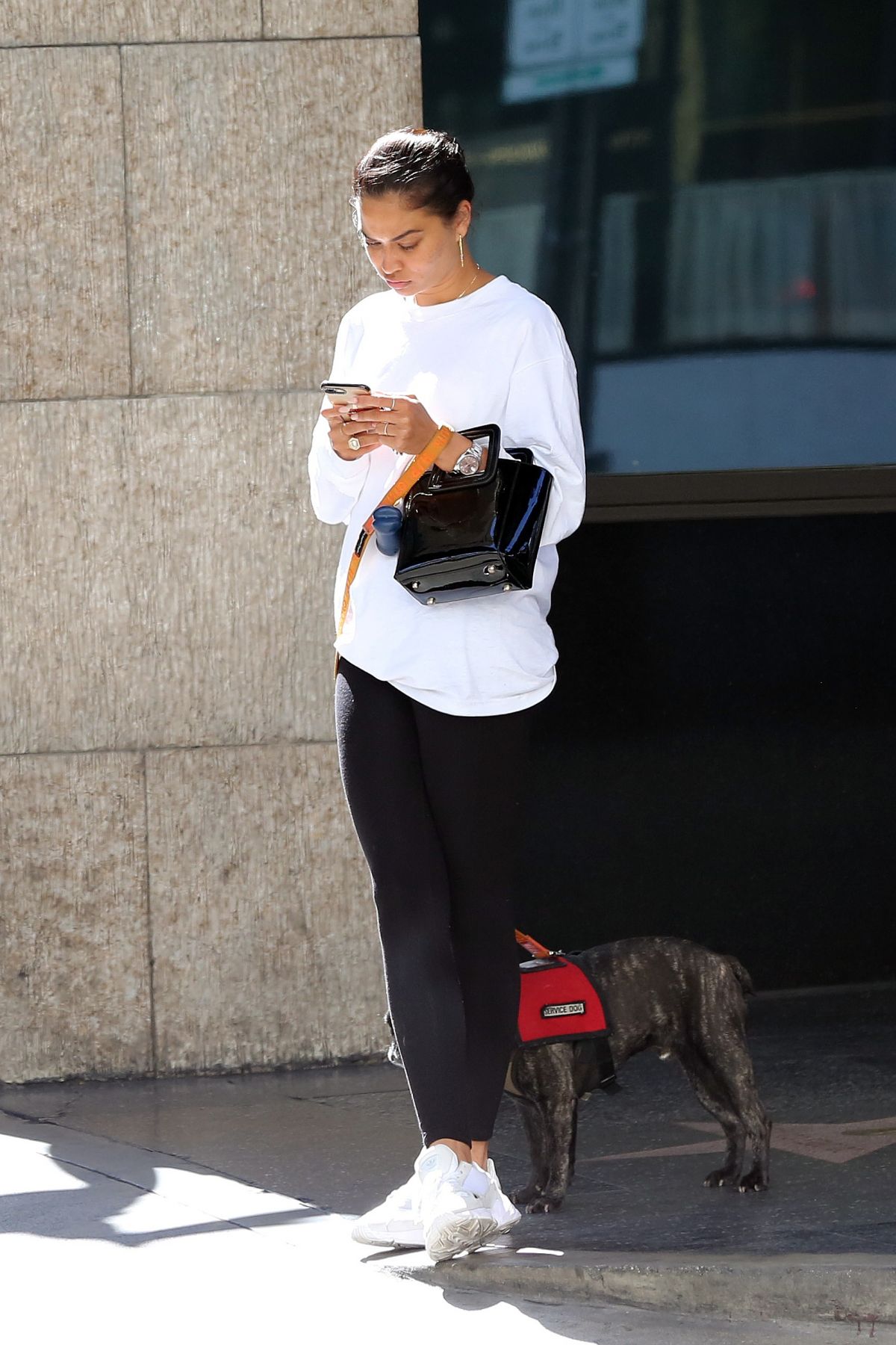 shanina-shaik-out-with-her-dog-in-los-angeles-07-18-2019-1.jpg